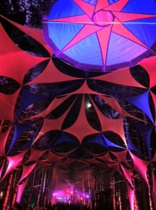 Colorful Vibe: Electric Forest comes to life with late-night parties. (Photo/Local Spins)