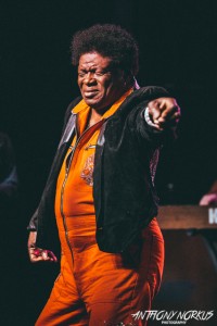 All The Right Moves: Charles Bradley. (Photo/Anthony Norkus)