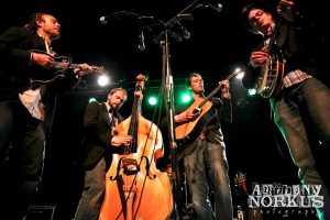 Fauxgrass (Photo/Anthony Norkus Photography)