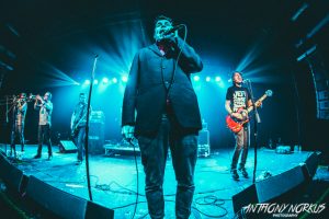 David Kirchgessner and Mustard Plug (Photo/Anthony Norkus)