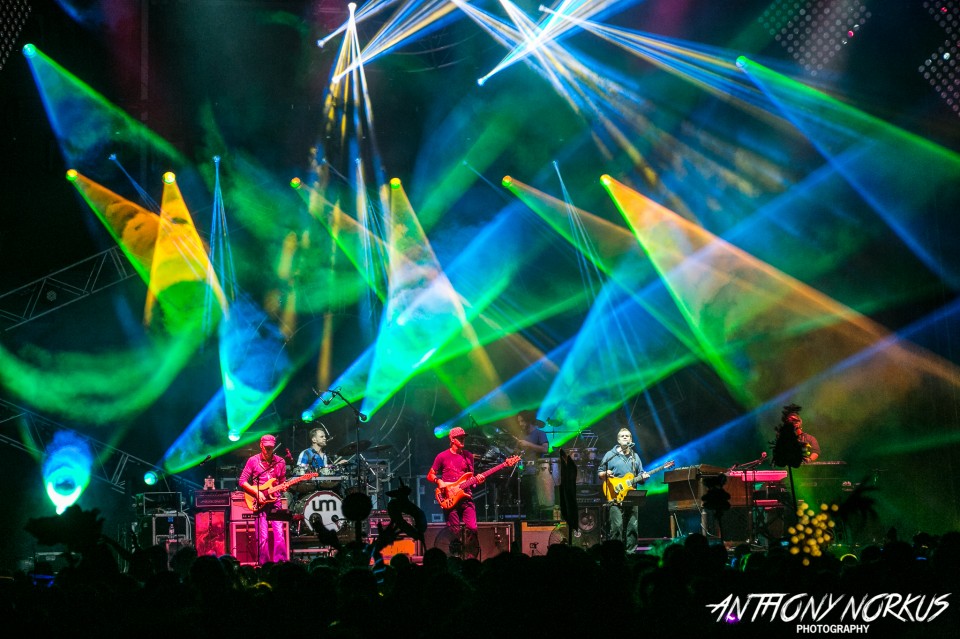 Electric Forest 2014 Magical opening of beatheavy music, wild lights