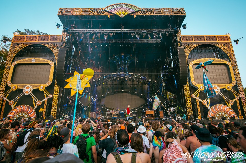 Best of Electric Forest 2014 The Local Spins Photo Gallery (June 30)