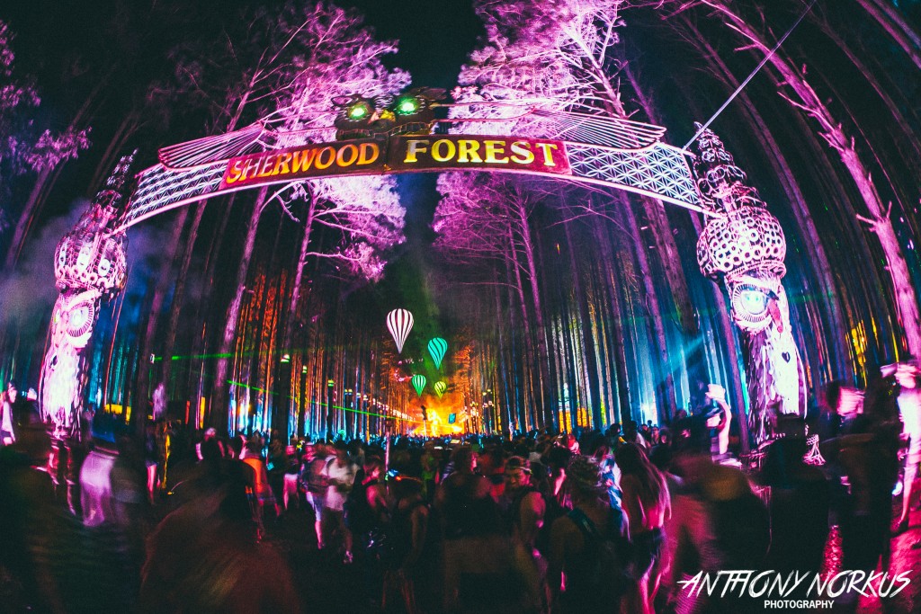 Electric Vibe: The entrance to Sherwood Forest at Electric Forest. (Photo/Anthony Norkus)