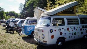 VW Love: Buses by the bunch. (Photo/Taylor Mansen)