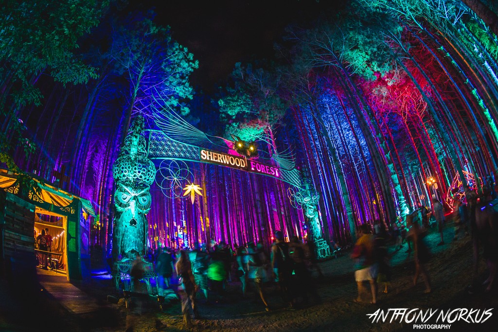 Meshing Art, Music and Grooviness: Electric Forest's Sherwood Forest. (Photo/Anthony Norkus)