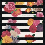 deartrackssoftdreams