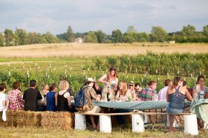 Down on the Farm: The Ada farm will host three concerts this summer.