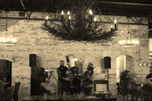 Harmonious Harmony Hall: Megan Dooley & The Last Roots performed at the venue recently. (Photo/Anna Sink)