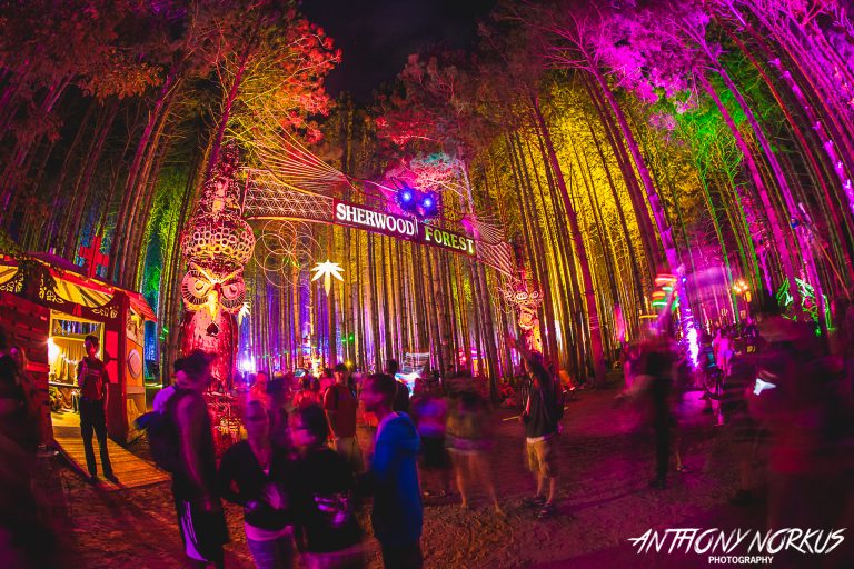 Electric Forest shows Mitten love with Michigan acts in 2017