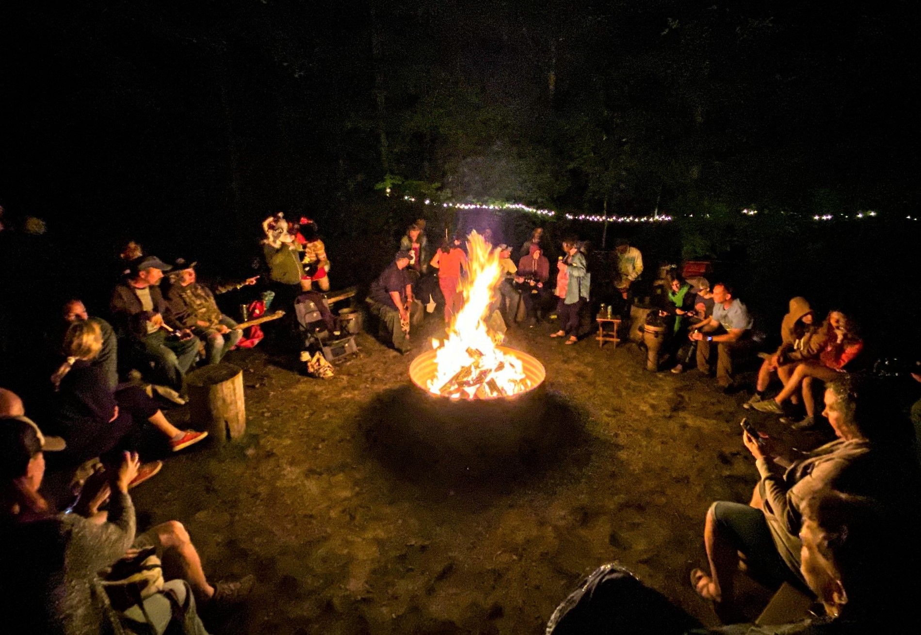 Forest Trail Music Festival revisited in words and photos - Local