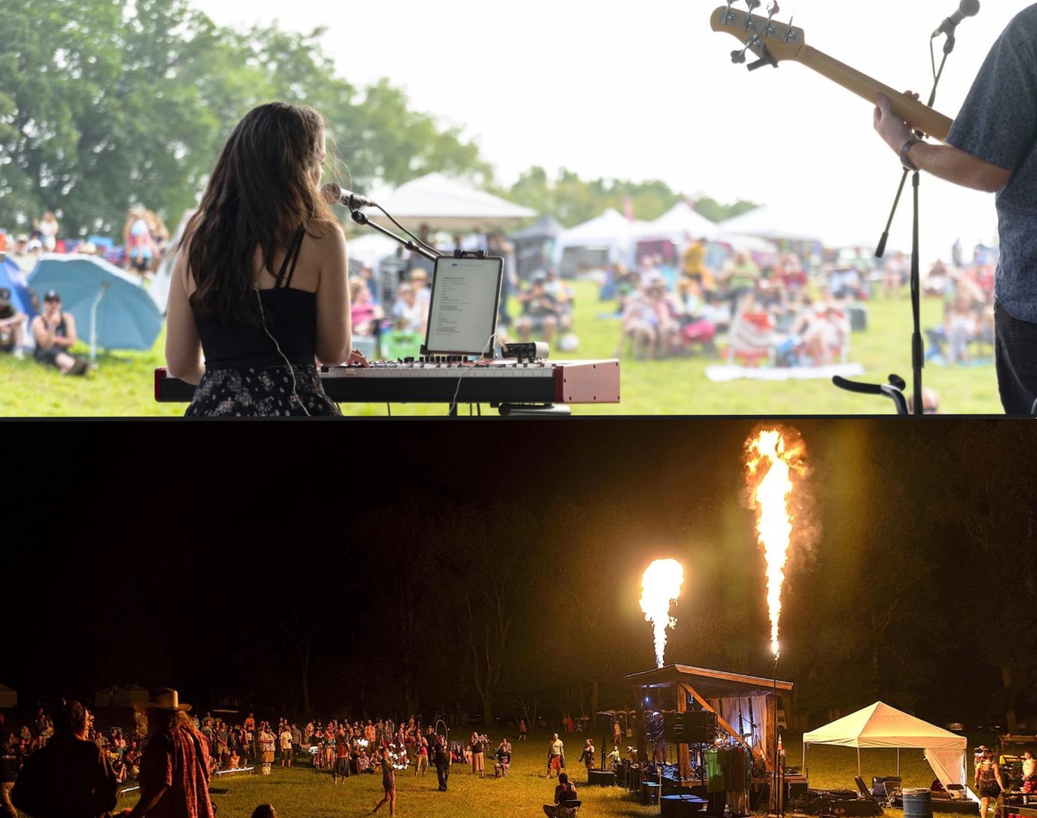 Shagbark Music & Arts Festival: The 2024 Guide - Local Spins
