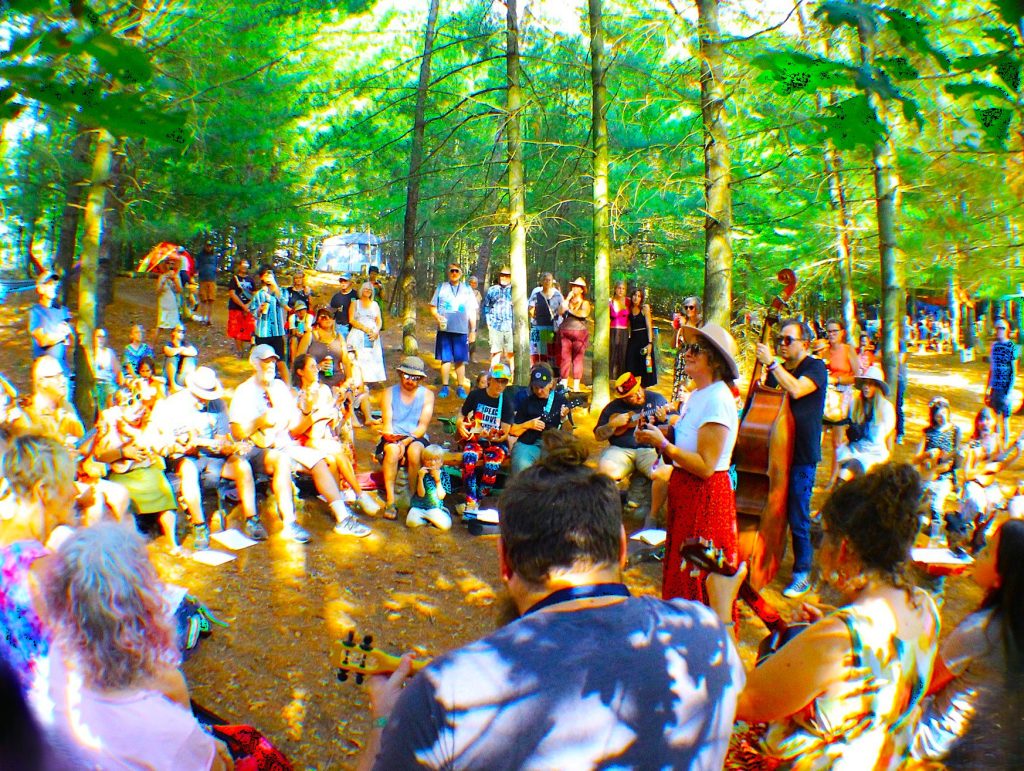 Wheatland festival site eyed for for high-voltage lines that would cut trees, campsites